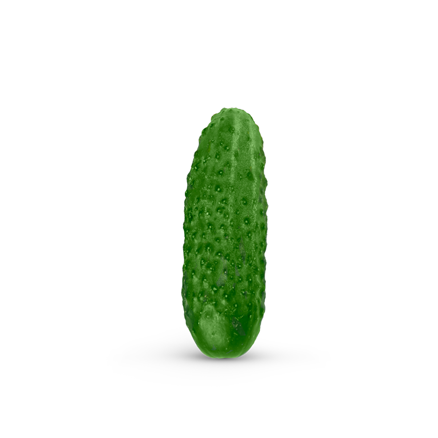 PEPINO