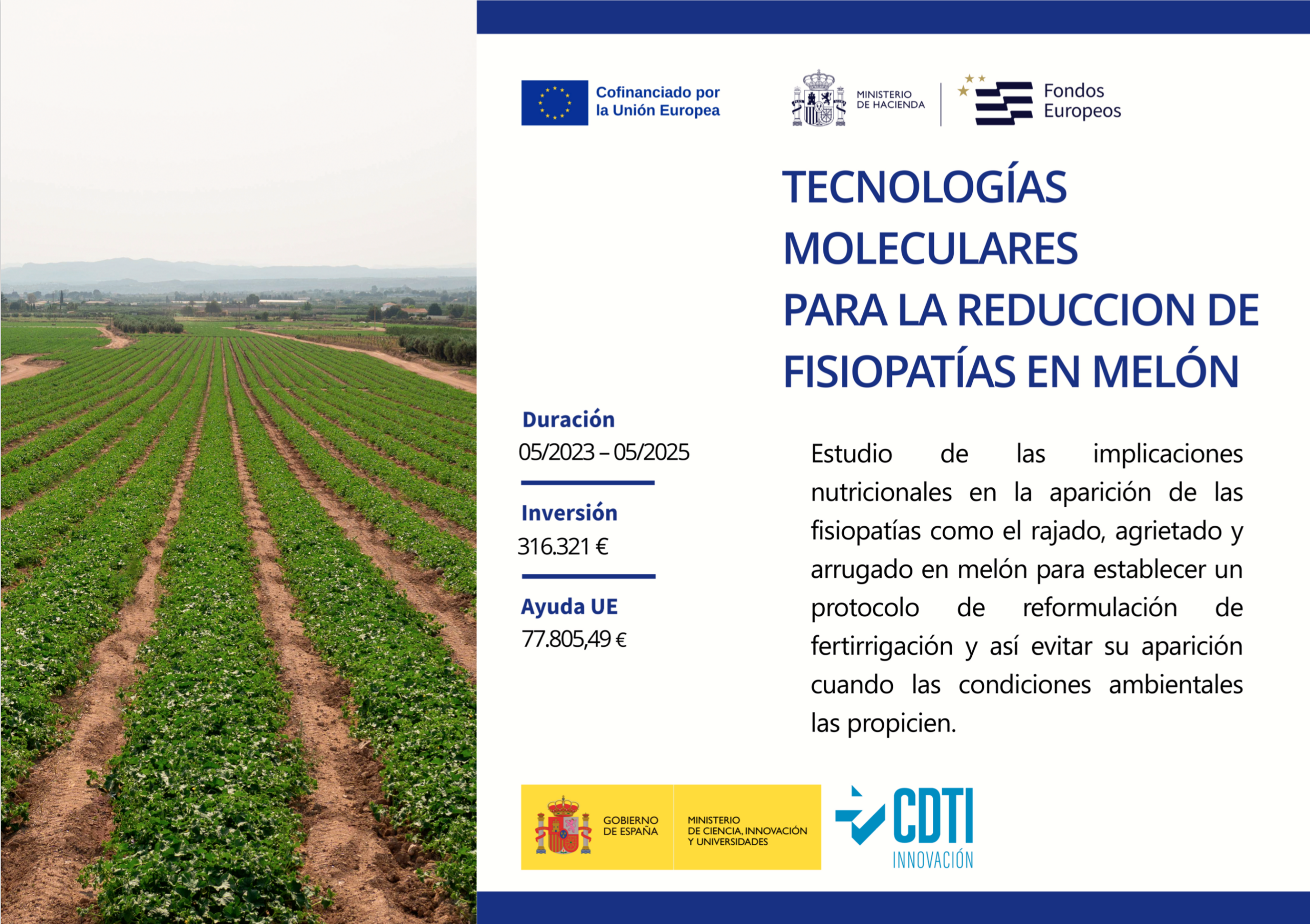 CDTI LEVANTE SUR