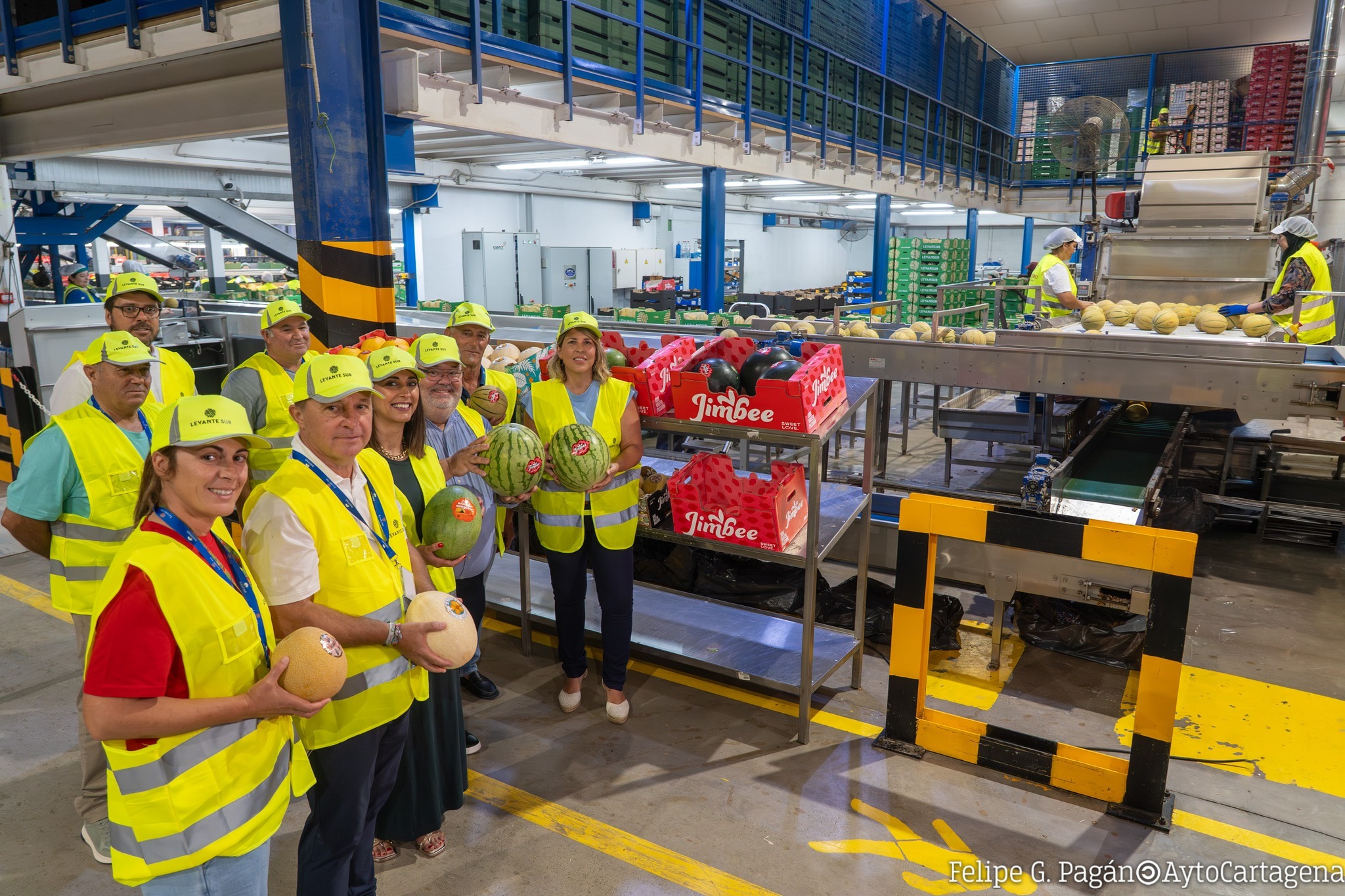 LA REGIÓN DE MURCIA CONSOLIDA SU LIDERAZGO EN LA PRODUCCIÓN Y EXPORTACIÓN DE SANDÍA